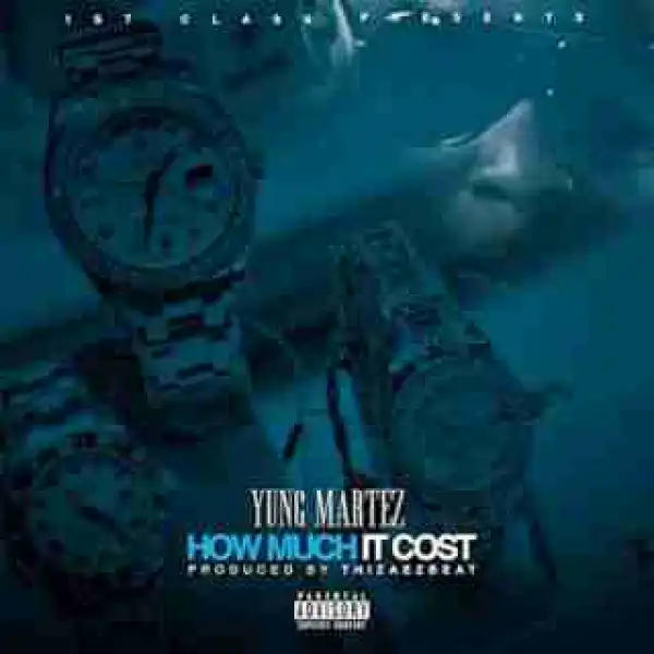 Instrumental: Yung Martez - How Much It Cost  (Produced By ThizAEzBeat)